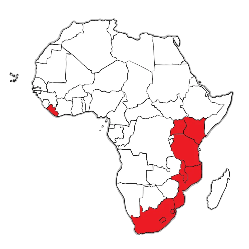 SHA-LeadershipPracAfrica